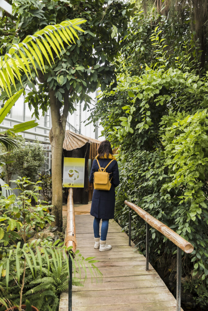 Costa Rica Travel Packages